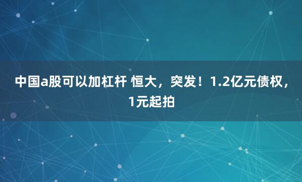 中国a股可以加杠杆 恒大，突发！1.2亿元债权，1元起拍