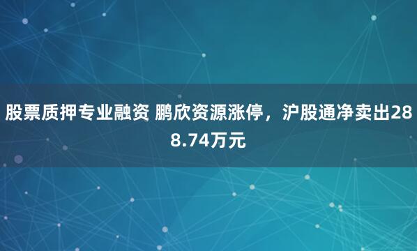 股票质押专业融资 鹏欣资源涨停，沪股通净卖出288.74万元