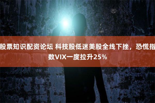 股票知识配资论坛 科技股低迷美股全线下挫，恐慌指数VIX一度拉升25%