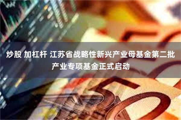 炒股 加杠杆 江苏省战略性新兴产业母基金第二批产业专项基金正式启动