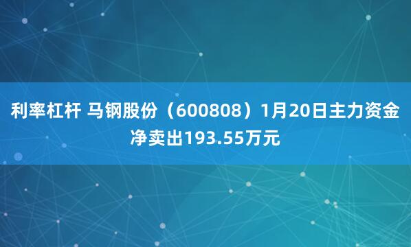 利率杠杆 马钢股份（600808）1月20日主力资金净卖出193.55万元