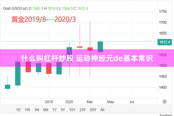 什么叫杠杆炒股 运动神经元de基本常识