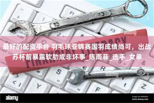 最好的配资平台 羽毛球亚锦赛国羽成绩尚可，出战苏杯前暴露软肋或非坏事_陈雨菲_选手_女单